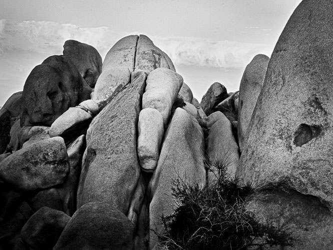 Enchanted Landscapes